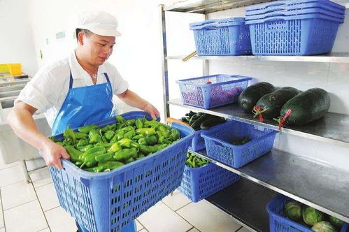 線上訂餐,信息精準化 大唐智訊智慧食堂保障團體就餐安全