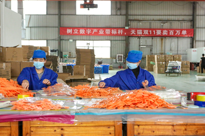 賣(mài)空了!天貓雙11首日產(chǎn)業(yè)帶商家?guī)齑娓婕?今年太刺激